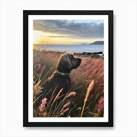 Sunset In Scotland Art Print