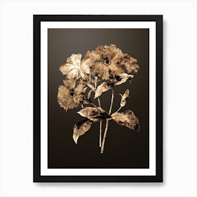 Gold Botanical Lychnis Grandiflora on Chocolate Brown n.3496 Art Print