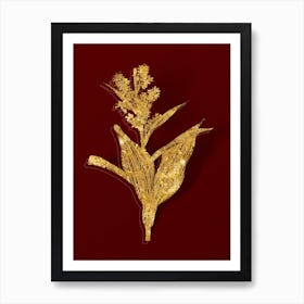 Vintage False Helleborine Botanical in Gold on Red n.0365 Art Print