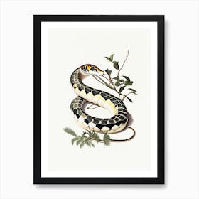 Mangrove Snake 1 Vintage Art Print