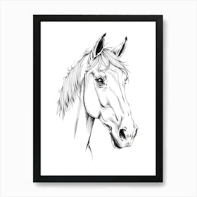 Horse Head Drawing Art Print