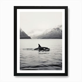 Vintage Black And White Orca Whale Photography Art Print
