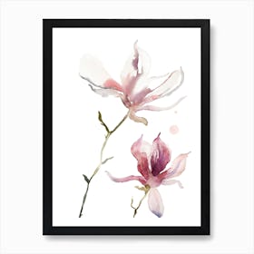 Magnolia 40 Art Print