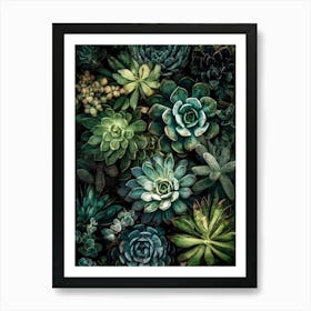 Succulents and cacti nature botany art Art Print