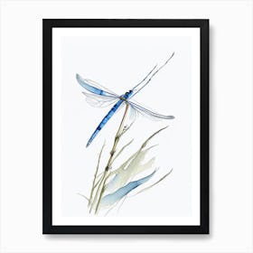 Blue Dasher Dragonfly Pencil Illustration 3 Art Print