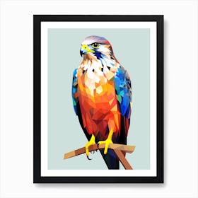 Colourful Geometric Bird Falcon 5 Art Print