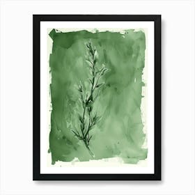 Green Ink Painting Of A Black Stem Spleenwort 1 Art Print