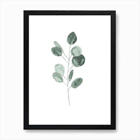 Botanical Illustration Eukalyptus2 Art Print