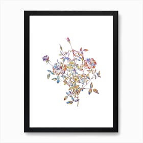Stained Glass Dwarf Rosebush Mosaic Botanical Illustration on White n.0268 Art Print