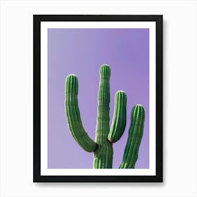 Cactus 16 Art Print