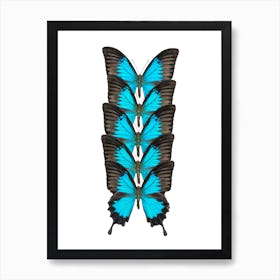Row Of Blue And Black Butterflies Art Print