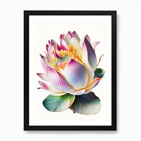 Giant Lotus Decoupage 1 Art Print