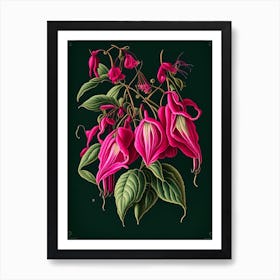 Fuchsia 1 Floral Botanical Vintage Poster Flower Art Print