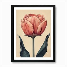 Floral Art 0010 Flower Single 0016 Fine Flowers 0012 Bp6586 An Old School Botanic Detailed Drawing Of A Carnivorous Art Print