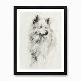 Samoyed Dog Charcoal Line 1 Art Print