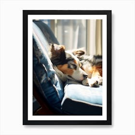 Dog Sleeping On A Chair Art Print