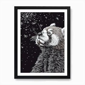 Red Panda Looking At A Starry Sky Ink Illustration 4 Art Print