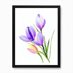 Crocus Watercolour Flower Art Print