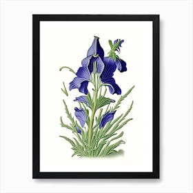 Marsh Bellflower Wildflower Vintage Botanical Art Print