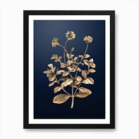 Gold Botanical Blue Marguerite Plant on Midnight Navy n.4224 Art Print