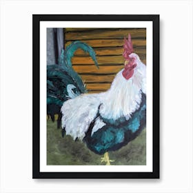 Rooster Art Print