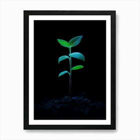 Young Green Plant On Black Background 8 Art Print