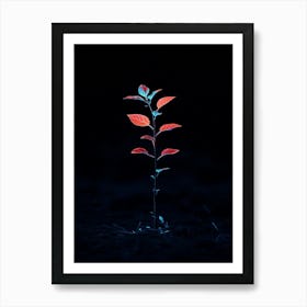 Plant In The Dark 12 Art Print