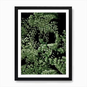 Tropical Garden 2i5 Art Print