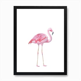 Flamingo Watercolour Art Print