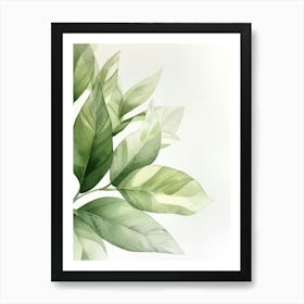 Watercolor Leaves 8 Art Print