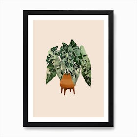 Philodendron Burle Marxii Variegata Art Print