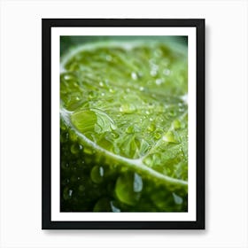 Water Droplets On Lime 3 Art Print