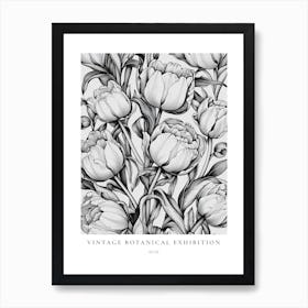 Rose 2 B&W Vintage Botanical Poster Art Print