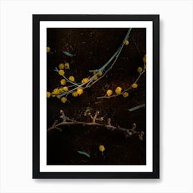 Plant Composition Art Print