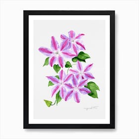 Clematis Watercolor Artwork Poster