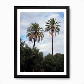 Palms Nature Tree Photography Realistic italy italia italian photo photography art travel Art Print