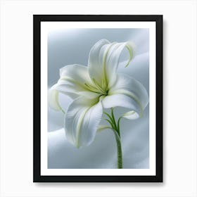 White Lily 2 Art Print