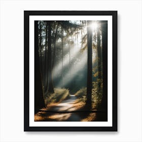 Path Through The Woods Poster