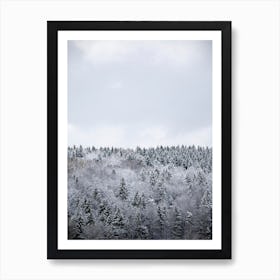 White Winter Forest Art Print