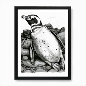 King Penguin Sunbathing On Rocks 3 Art Print