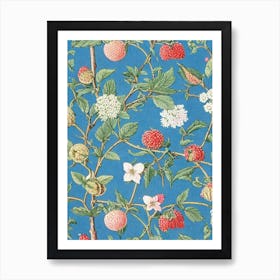 Sugarberry tree Vintage Botanical Art Print