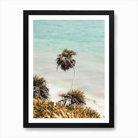 White Sandy Beach Art Print