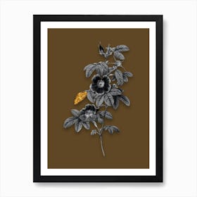 Vintage Single May Rose Black and White Gold Leaf Floral Art on Coffee Brown n.0716 Art Print