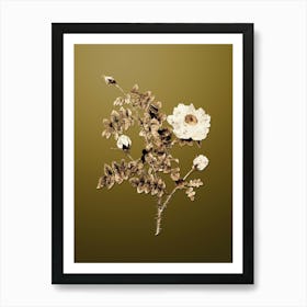 Gold Botanical White Burnet Roses on Dune Yellow n.3200 Art Print
