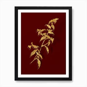 Vintage Birdbill Dayflower Botanical in Gold on Red n.0562 Art Print