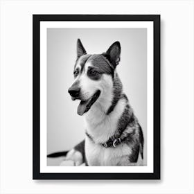 Australian Cattle Dog B&W Pencil Dog Art Print