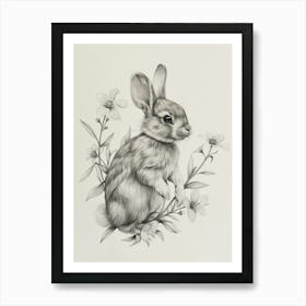 Mini Satin Rabbit Drawing 2 Art Print