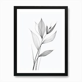 Leaf In Black And White Art Print