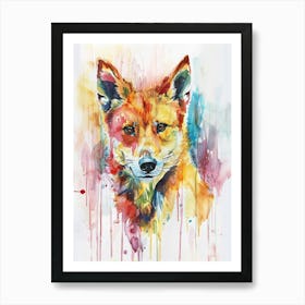 Dingo Colourful Watercolour 2 Art Print