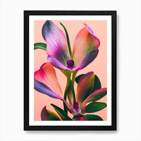 Lady Slipper Orchid Colourful Illustration Art Print